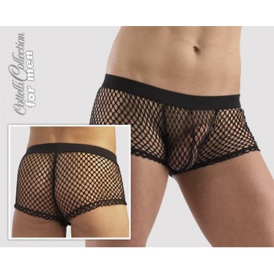 BOXER A RETE TRASPARENTE